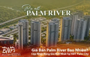 Giá Bán Palm River Bao Nhiêu Cập Nhật Bảng Giá Mới Nhất Tại KĐT Palm City - Bách Như Properties - BNPs