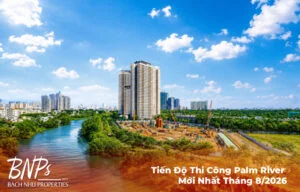Tiến Độ Thi Công Palm River Mới Nhất Tháng 8/2026